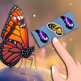 Butterfly Kyodai